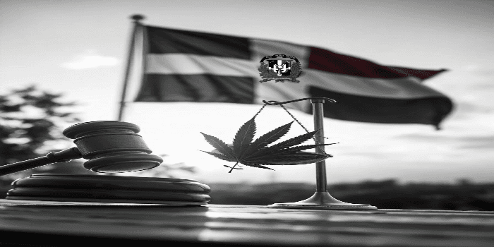 Legalizar el Cannabis en República Dominicana