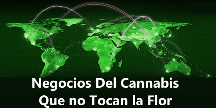 Negocios Que no Tocan la Flor Del Cannabis