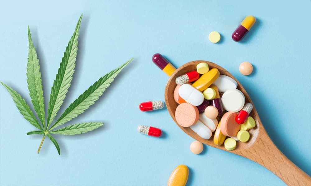 Cannabis y Medicamentos: Lo Que Todo Dominicano Debe Saber sobre las Interacciones