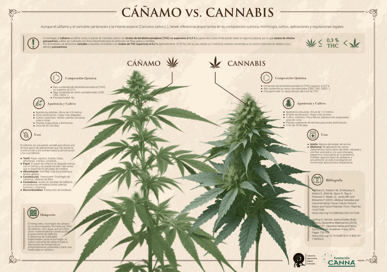 La Riqueza Oculta de la República Dominicana: Informe Revela Oportunidad Millonaria para el Cáñamo Industrial en el pais