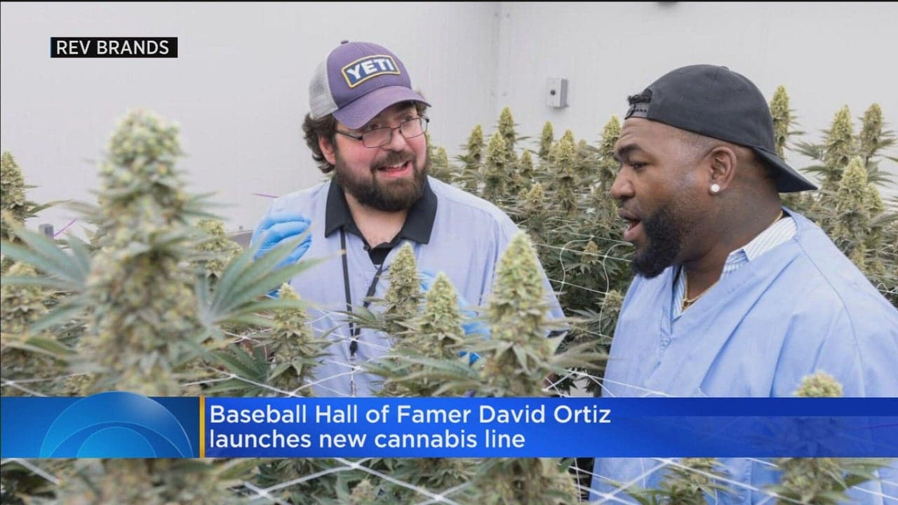 Leyenda del béisbol David Ortiz dice que el diagnóstico de cáncer de su padre alimentó su pasión por el cannabis
